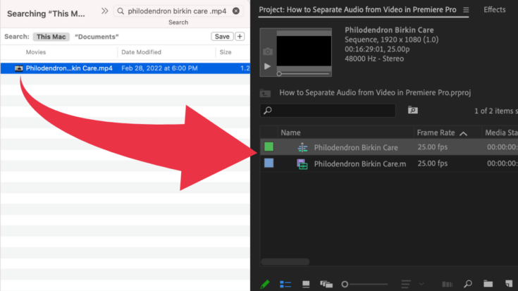 the-2-best-methods-to-separate-audio-from-video-in-premiere-pro