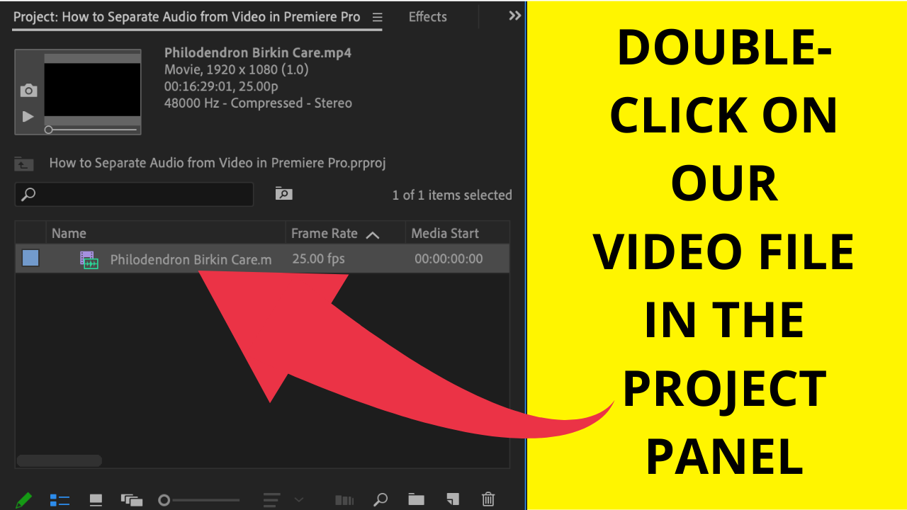 Step 2 Double-click on Your Video File in the Project Panel