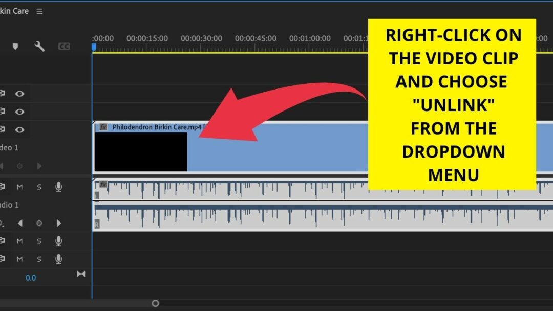 the-2-best-methods-to-separate-audio-from-video-in-premiere-pro