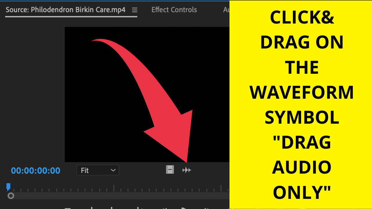 Step 3 Click & Drag where it says _Audio only_ and drag onto the timeline.